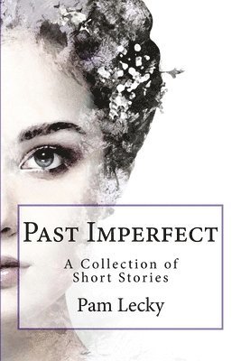 bokomslag Past Imperfect