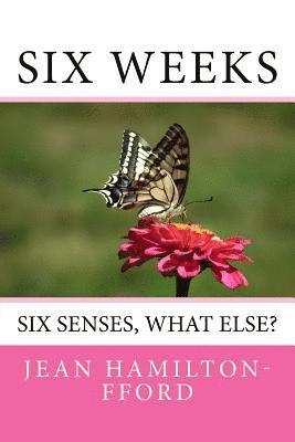 Six Weeks: Six Senses, What Else? 1