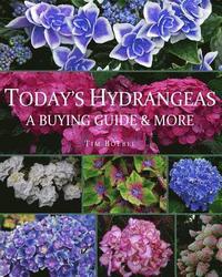 bokomslag Today's Hydrangeas: A Buying Guide & More