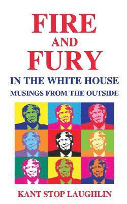 Fire and Fury in the White House: Musings from the Outside 1