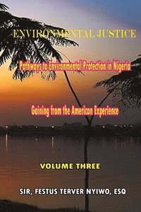 bokomslag Environmental Justice: Pathways to Environmental Protection in Nigeria: Gaining From The American Experience