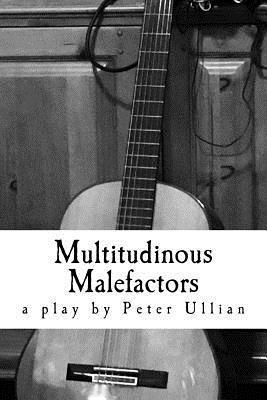 bokomslag Multitudinous Malefactors