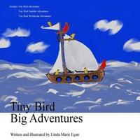 bokomslag Tiny Bird Big Adventures