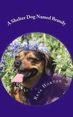 Reva Coker Horton - A Shelter Dog Named Brandy, Häftad