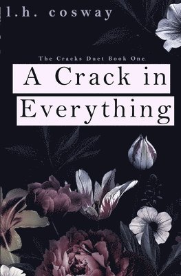 A Crack in Everything