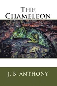 bokomslag The Chameleon: Previously Soul Mates by J. B.Anthony