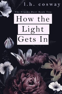 How the Light Gets In 1