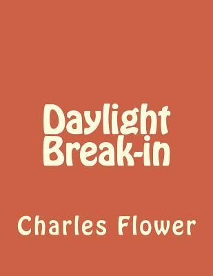 Charles E. Flower - Daylight Break-in: Murphy's Law, Häftad