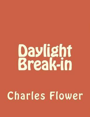 Daylight Break-in: Murphy's Law 1