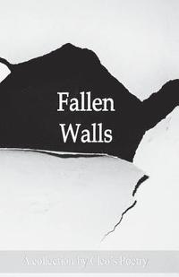 bokomslag Fallen Walls