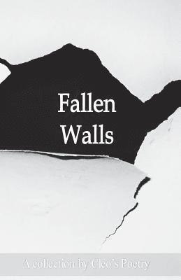 bokomslag Fallen Walls