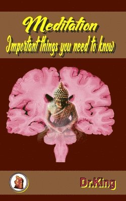 bokomslag Meditation - Important things you need to know