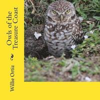 bokomslag Owls of the Treasure Coast
