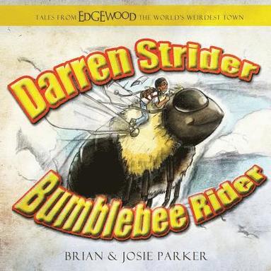 bokomslag Darren Strider: Bumblebee Rider
