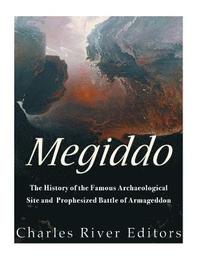 bokomslag Megiddo: The History of the Famous Archaeological Site and Prophesized Battle of Armageddon