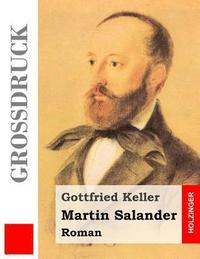 bokomslag Martin Salander (Großdruck): Roman