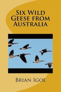 bokomslag Six Wild Geese from Australia