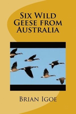 bokomslag Six Wild Geese from Australia