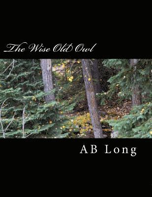 bokomslag The Wise Old Owl: A Color Me Calm Storybook