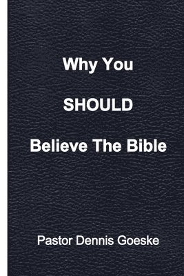 bokomslag Why You Should Believe The Bible