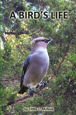 bokomslag A Bird's Life: Lifes Survival as a Bird