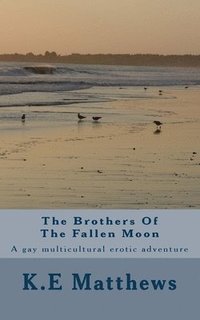 bokomslag The Brothers Of The Fallen Moon: A gay multicultural erotic adventure
