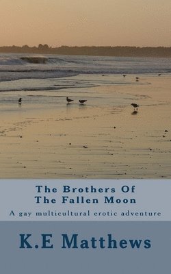 The Brothers Of The Fallen Moon: A gay multicultural erotic adventure 1