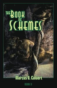 bokomslag The Book Of Schemes