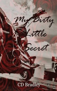 bokomslag My Dirty Little Secret