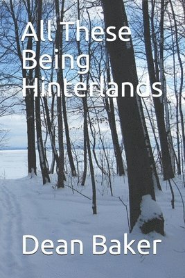 Dean J Baker, Dean J. Baker - All These Being Hinterlands, Häftad