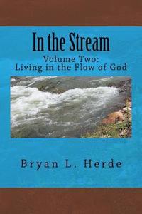 bokomslag In the Stream: Living in the Flow of God