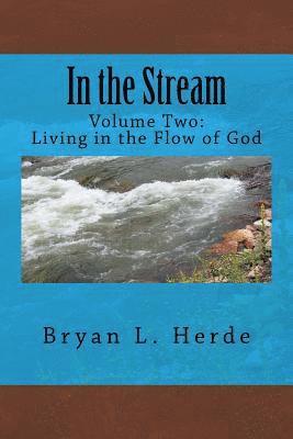 bokomslag In the Stream: Living in the Flow of God