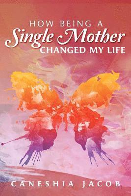 bokomslag How Being A Single Mother Changed My Life