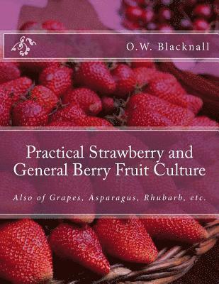 bokomslag Practical Strawberry and General Berry Fruit Culture: Also of Grapes, Asparagus, Rhubarb, etc.