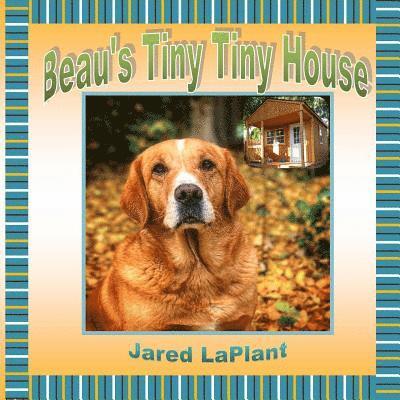 Beau's Tiny Tiny House 1