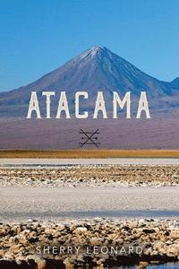 bokomslag Atacama