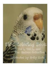 bokomslag Bird Coloring Book: Vol 1, Vol 2, and 'The Chelsea Collection'