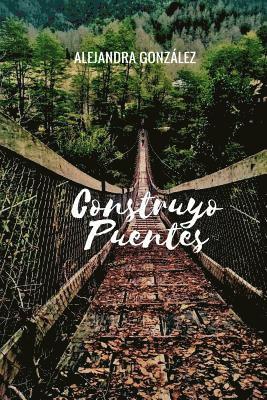 bokomslag Construyo Puentes