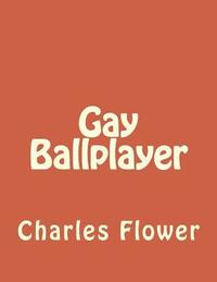bokomslag Gay Ballplayer