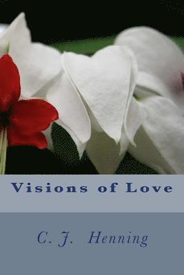 bokomslag Visions of Love