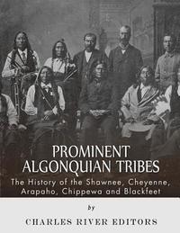 bokomslag Prominent Algonquian Tribes: The History of the Shawnee, Cheyenne, Arapaho, Chippewa, and Blackfeet