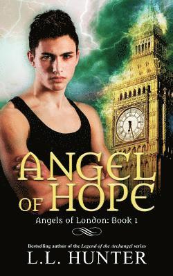 L L Hunter, Rogena Mitchell Jones - Angel of Hope, Häftad