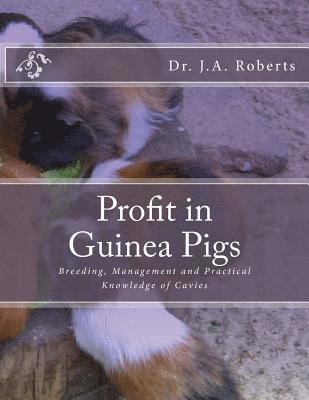 bokomslag Profit in Guinea Pigs: Breeding, Management and Practical Knowledge of Cavies