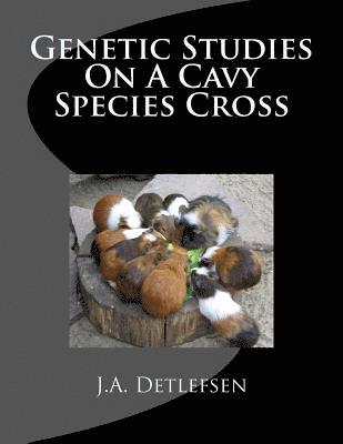 bokomslag Genetic Studies On A Cavy Species Cross