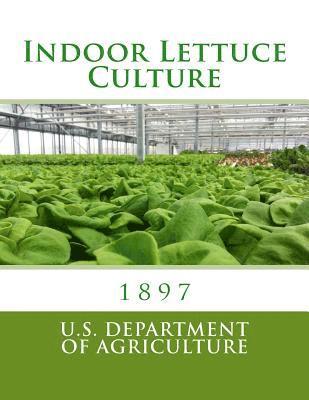 bokomslag Indoor Lettuce Culture