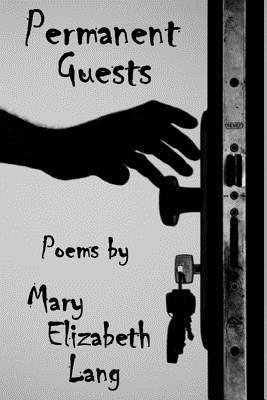bokomslag Permanent Guests: Poems