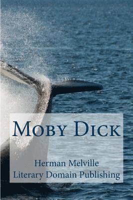 bokomslag Moby Dick
