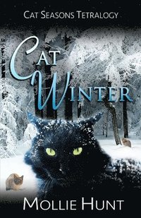 bokomslag Cat Winter