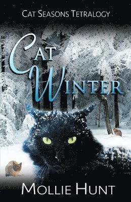 Cat Winter 1