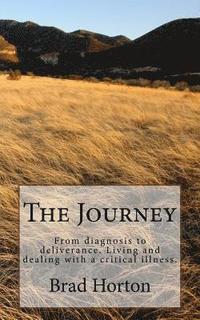 bokomslag The Journey: From diagnosis to deliverance. Living and dealing with a critical illness.